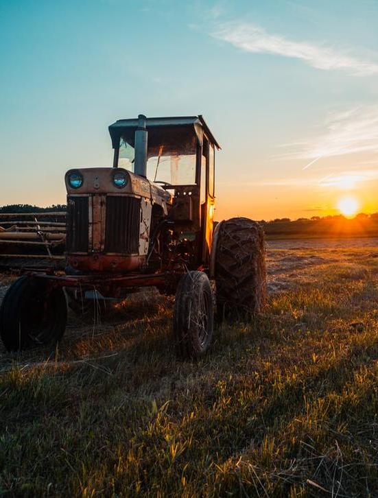 Old tractor in field.