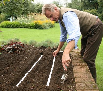 What are Seed Tapes and How Do I Use Them?