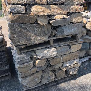 Spruce Mountain Wallstone