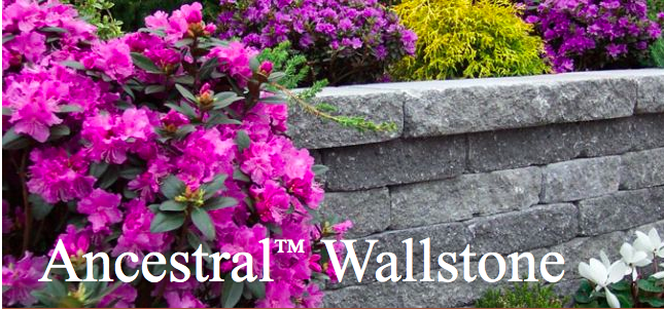 Ideal Ancestral Wallstone